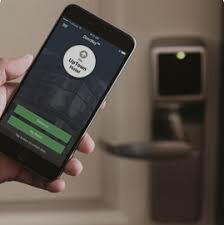 O.n.i.t.y Việt Nam 1