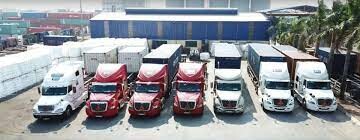 Công Ty TNHH Xuất Nhập Khẩu Phú Lâm 1