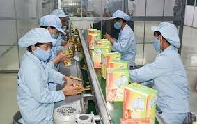 FGC Thương hiệu trà Cozy 7