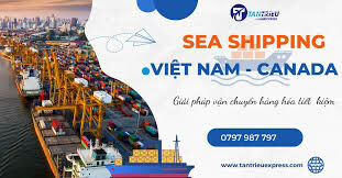 TAN TRIEU EXPRESS TRADING AND SERVICES TRANSPORT CO., LTD 3