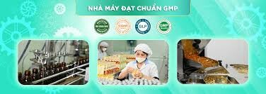 Dược Phẩm Tín Phong 4