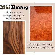 Đồng Quốc Hưng 1