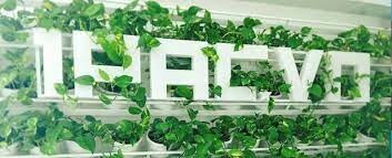 Công ty TNHH 1PAC Việt Nam 9