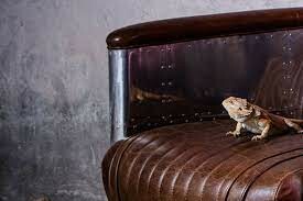 Saigon Đồ Gỗ Quốc Tế ( S.M.I ) 1