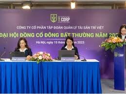 Tập Đoàn Trí Việt (T-Corp) 4