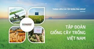 Giống Cây Trồng Miền Nam 3