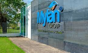 Mylan Group 4