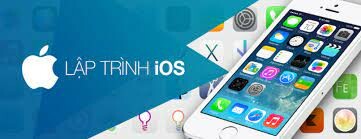 Công Ty TNHH Cung Cấp Giải Pháp Dịch Vụ Giá Trị Gia Tăng (Vivas) 5