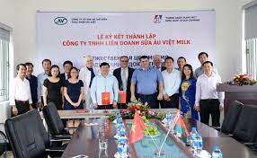 Xuất Nhập Khẩu Âu Việt Furniture 1