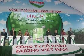 Đường Việt Nam (Vietsugar) 4