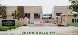 Công Ty Quốc Tế Tri - Viet 2