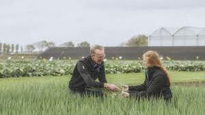 Sản Xuất Bejo Việt Nam 3