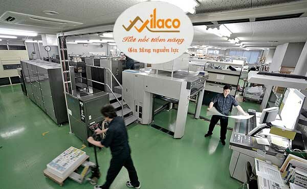 Nhân Lực Quốc Tế Việt 2