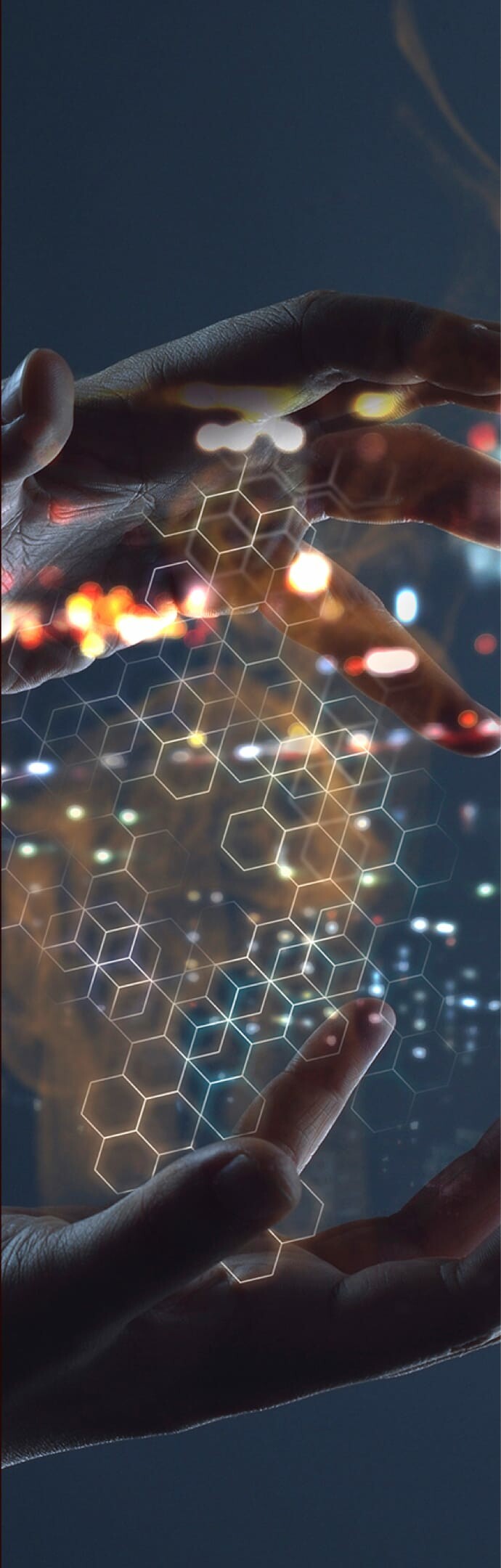 Thiết Kế Li & Fung 7