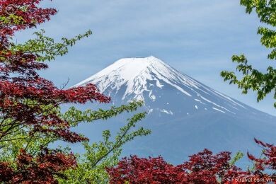 Công Ty TNHH Du Lịch F5 Việt Nam 5