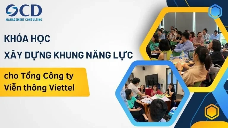 Tư vấn Quản lý OCD 8