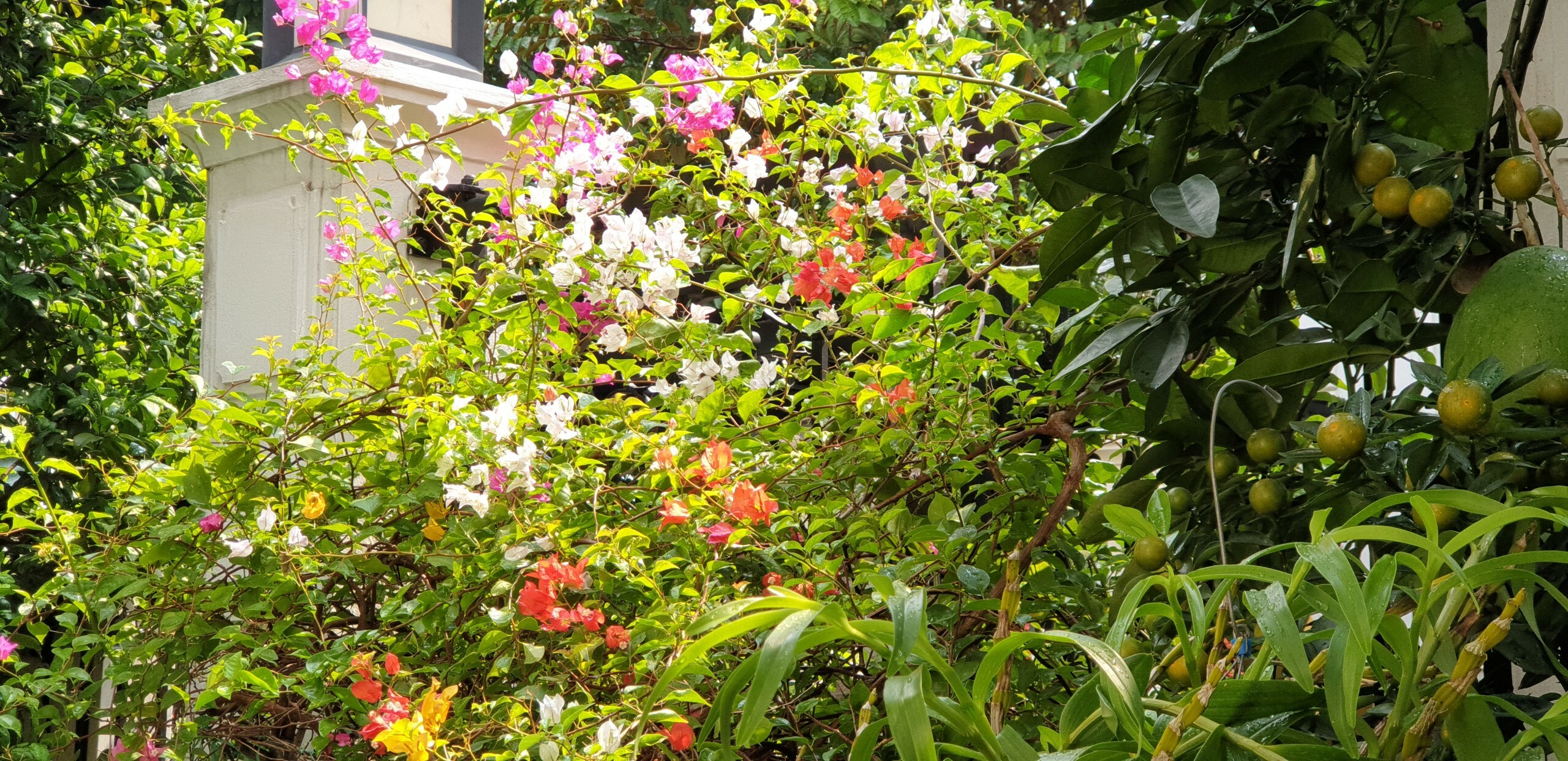 Phát Triển Đô Thị Mới An Khánh 8