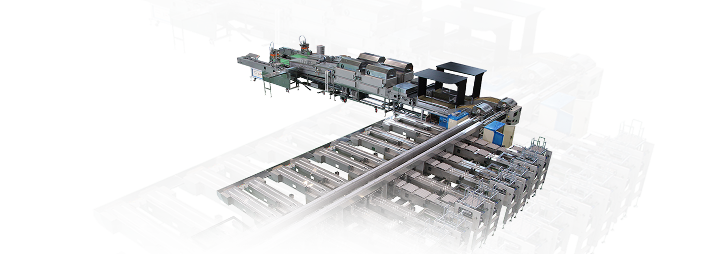 Seyang Corporation Việt Nam 10