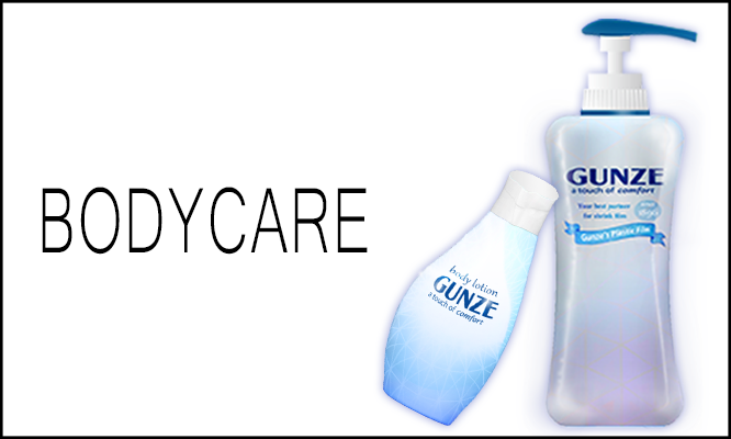 Gunze Plastics & Engineering Việt Nam 1