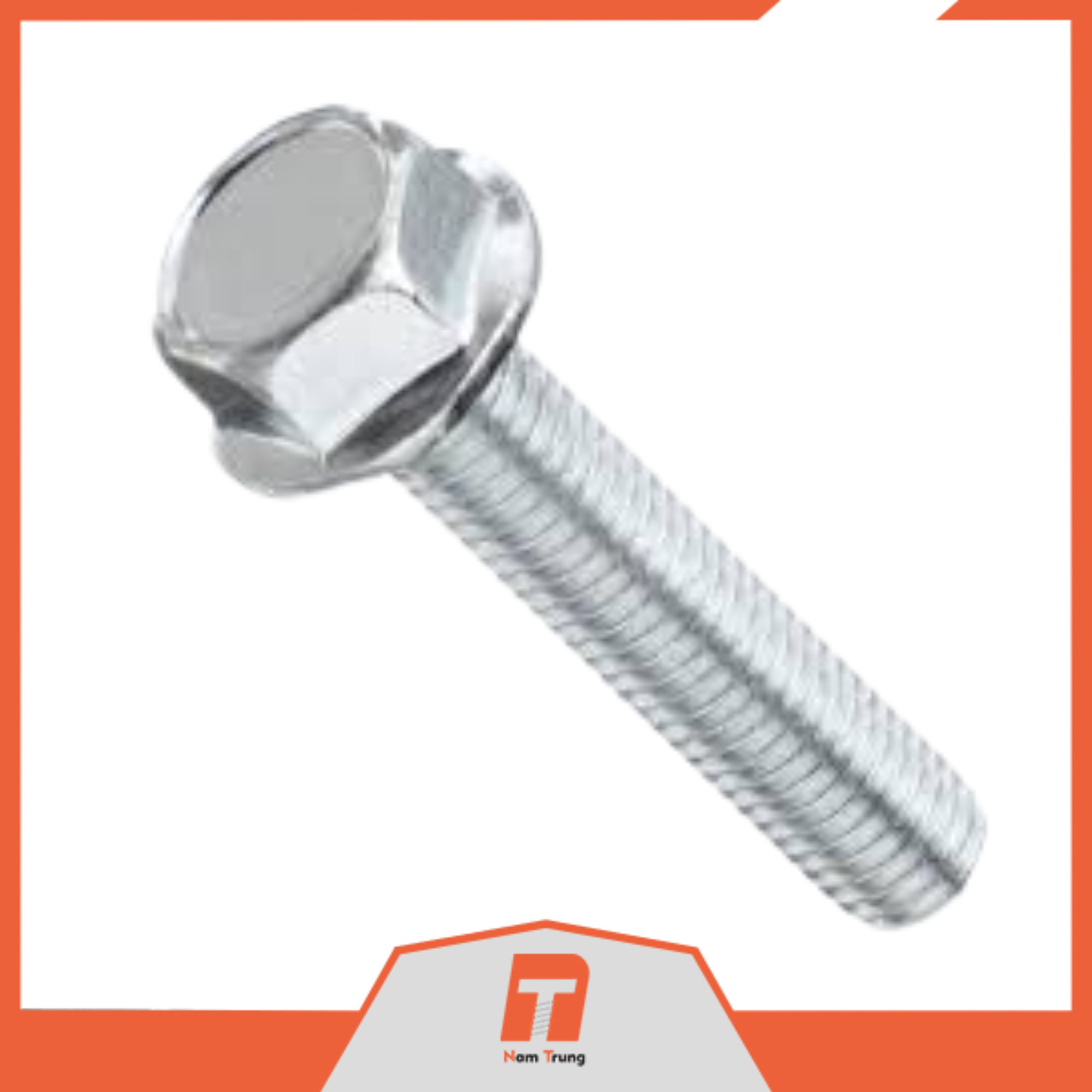 Xuất nhập khẩu Nam Trung - Việt Nam 6