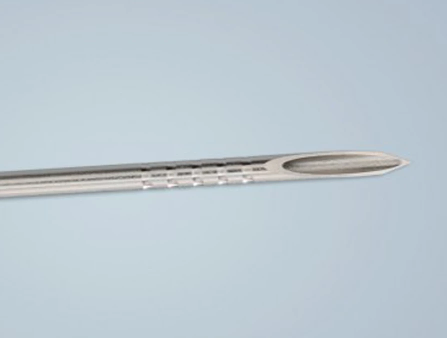 Cysina Việt Pháp 1