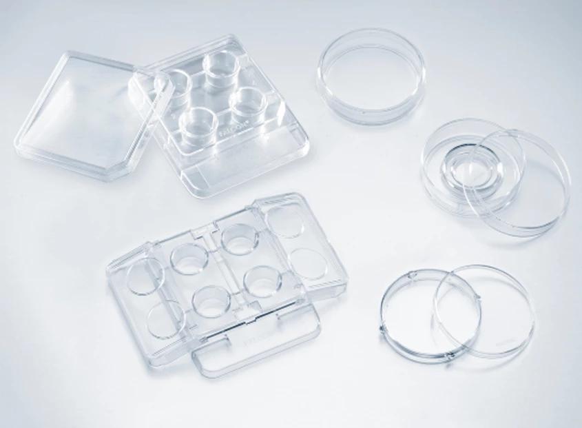 Cysina Việt Pháp 3