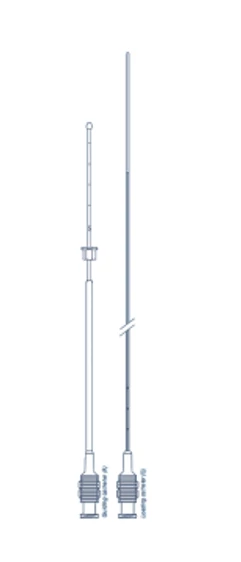 Cysina Việt Pháp 2