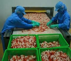 THỦY SẢN CỔ CHIÊN 5