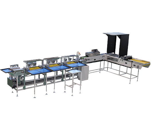 Seyang Corporation Việt Nam 6