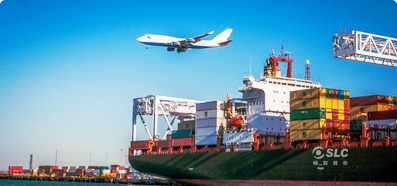 Logistics Quốc Tế Shine-Link (Việt Nam) 8