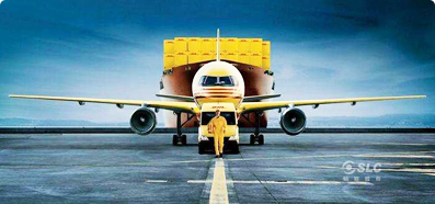 Logistics Quốc Tế Shine-Link (Việt Nam) 9