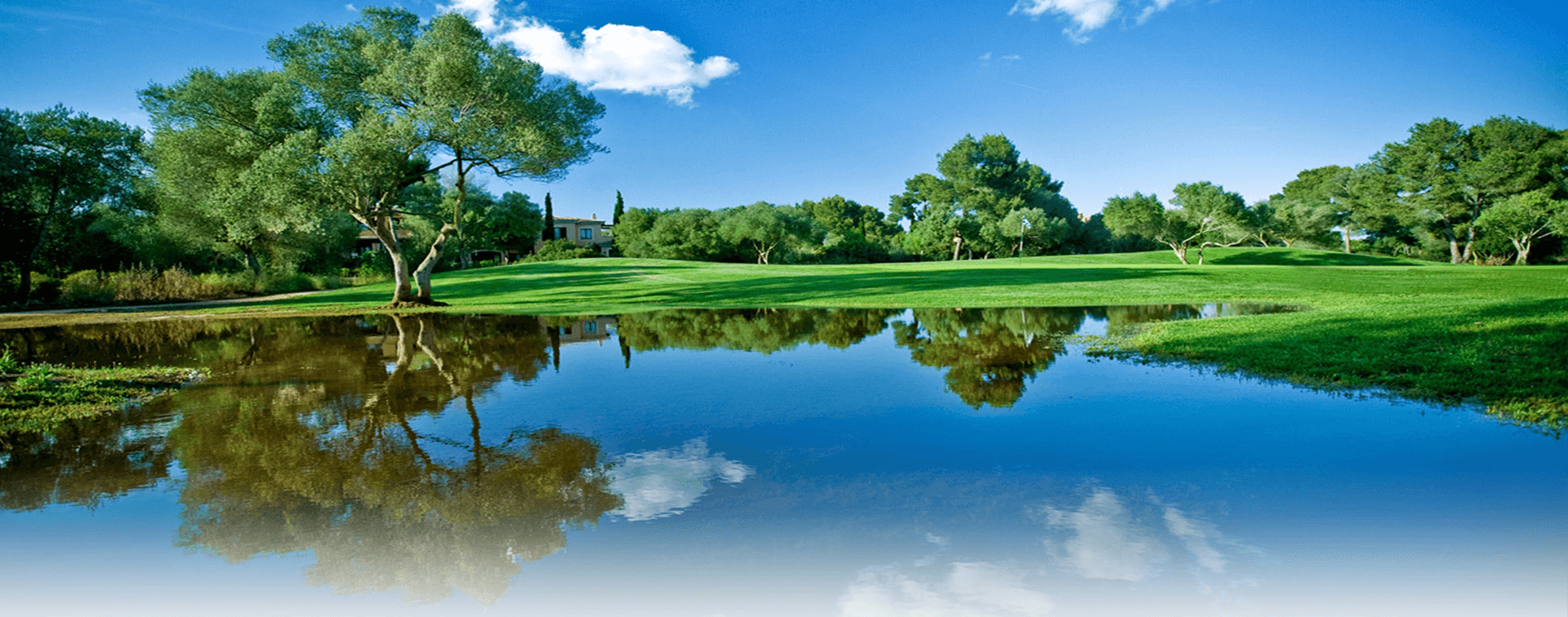 Môi Trường Nghi Sơn 12