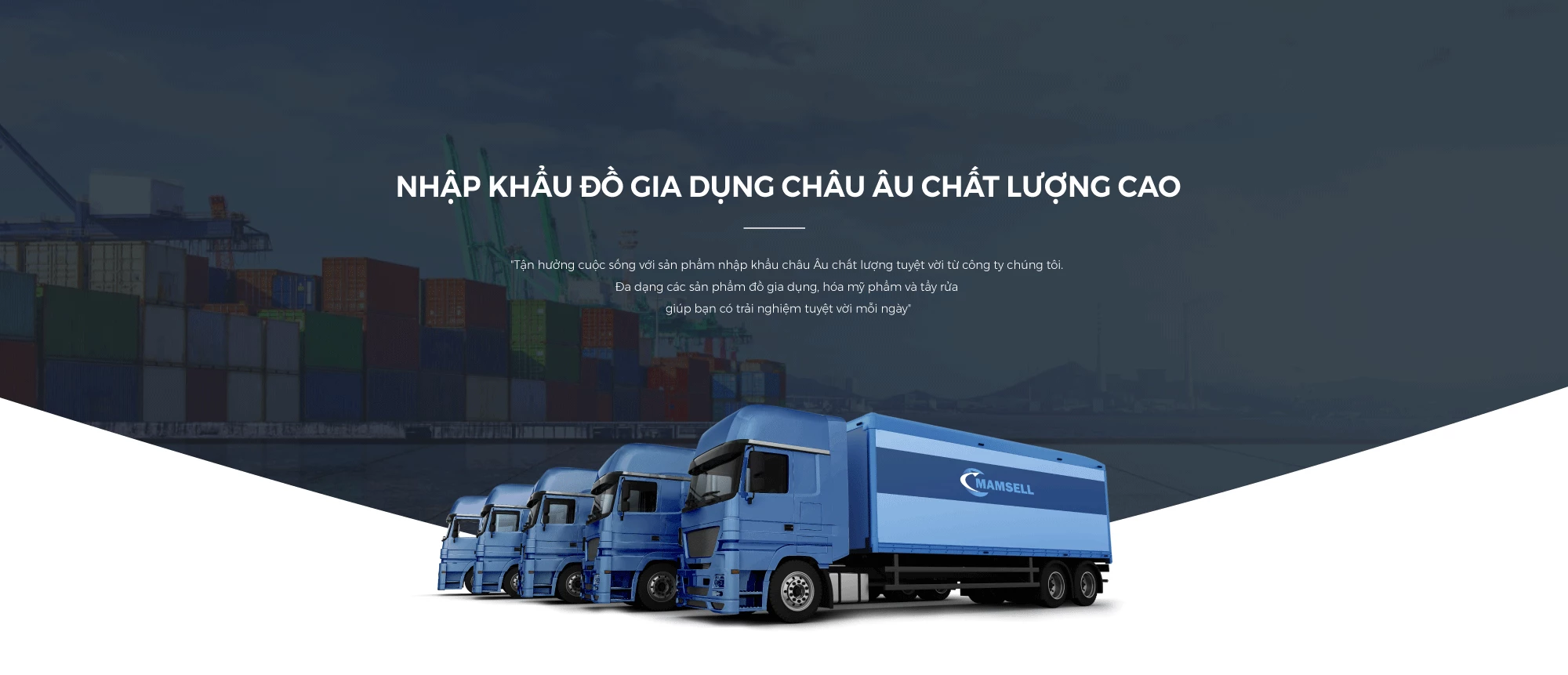 MAMSELL INTERNATIONAL INVESTMENT CO ., LTD 10