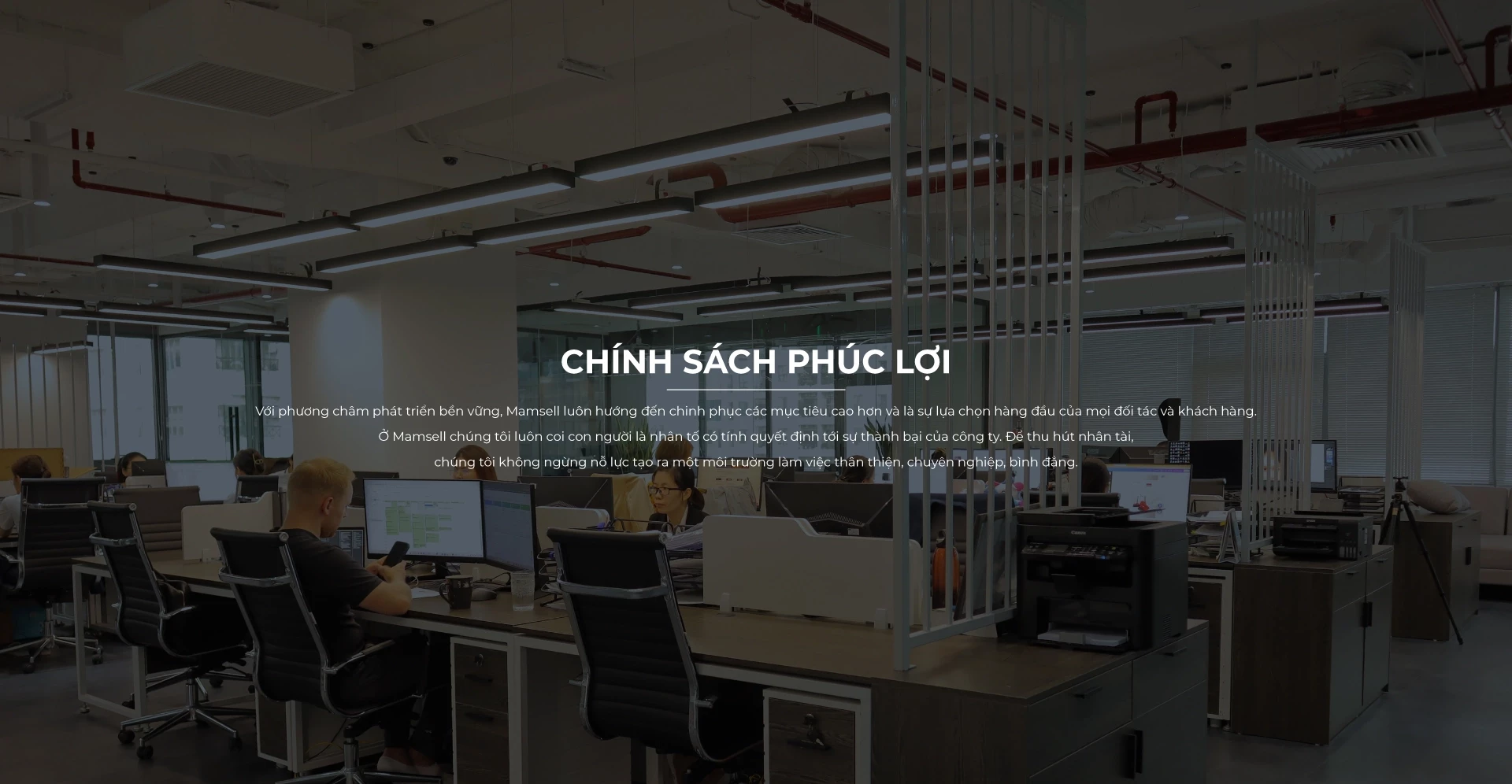 MAMSELL INTERNATIONAL INVESTMENT CO ., LTD 1