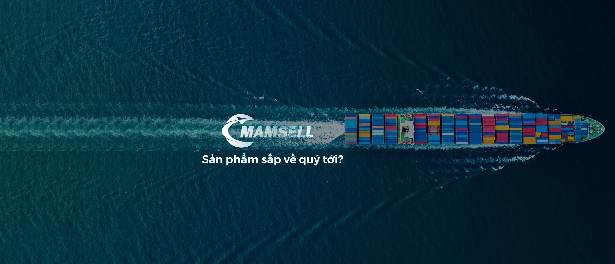 MAMSELL INTERNATIONAL INVESTMENT CO ., LTD 7