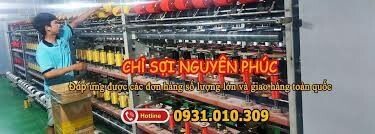 Công Ty TNHH Chỉ Sợi Nguyên Phúc 10