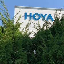 Hoya Glass 6