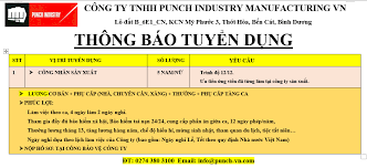 Punch Industry Manufacturing Việt Nam 8