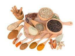 Tập Đoàn Trân Châu 1