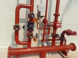 Việt Trường Thọ 5