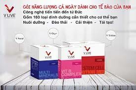 Wise Corridor Việt Nam 2