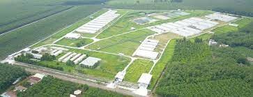 Công ty cổ phần chăn nuôi Vĩnh Tân 4