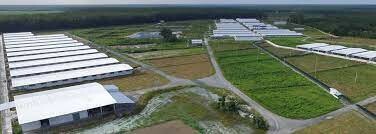 Công ty cổ phần chăn nuôi Vĩnh Tân 2