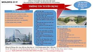 Wolong (Việt Nam) 8