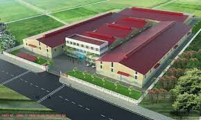 Pearlcoin Việt Nam 10