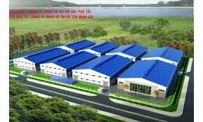 Pearlcoin Việt Nam 9