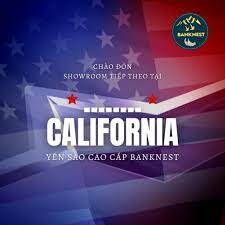 Công Ty TNHH Thương Mại Và Xnk Lee Như 1