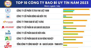 Bao Bì Lâm Việt An 16