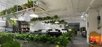 CÔNG TY TNHH ECOMGROWS 10