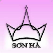 Công ty TNHH Thương mại Sơn Hà 10